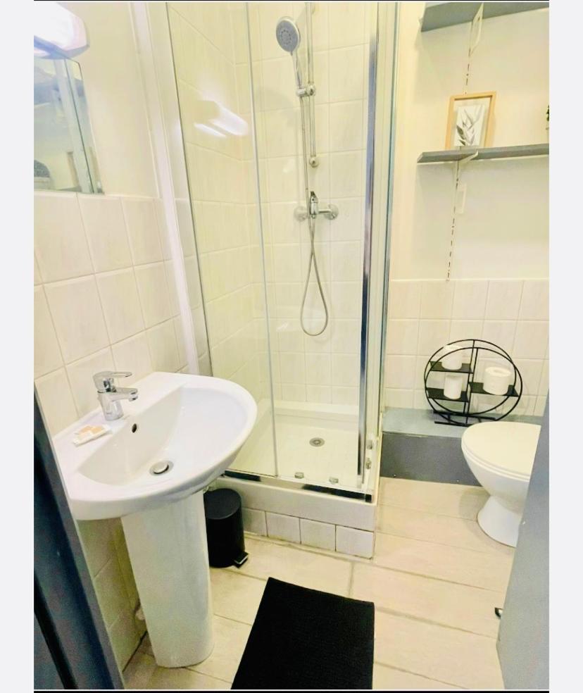 Studio Entier 1 Piece Et Salle De Bain Lille Exterior foto